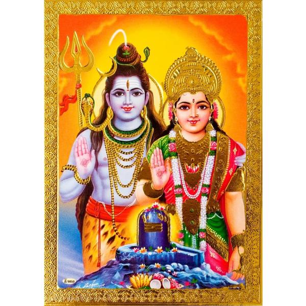 tirakita-shop_pcd-god-272