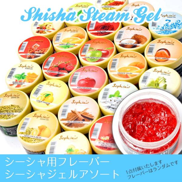 人気が高い セット ホイル シーシャ 水タバコ 初めてのシーシャセット シーシャ 水タバコ 最安 Www Muslimaidusa Org