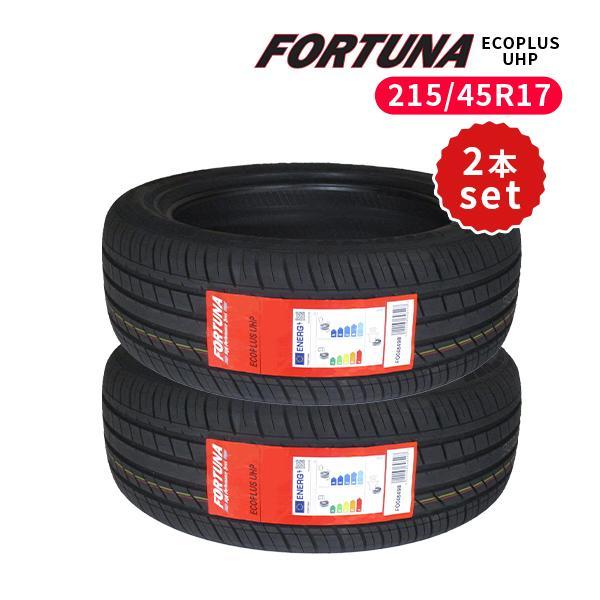 215/45R17 2本セット 2023年製造 新品サマータイヤ FORTUNA ECOPLUS 