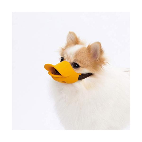 クァック クローズド