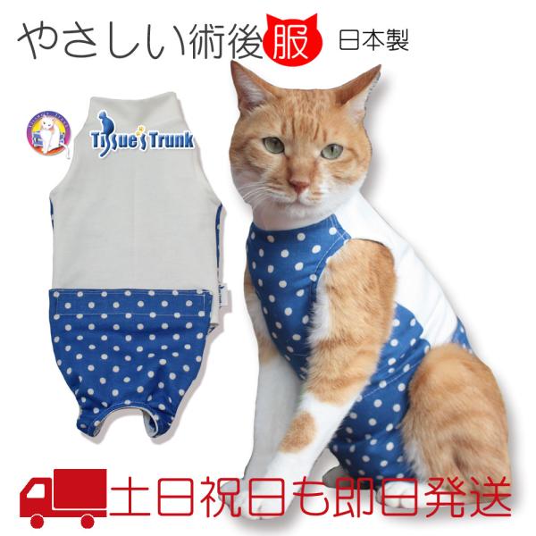 避妊手術など開腹術後の猫が快適に過ごせる保護服介護服 土日祝日発送 お家での介護がしやすい猫用術後服 水玉ブルー 代購幫