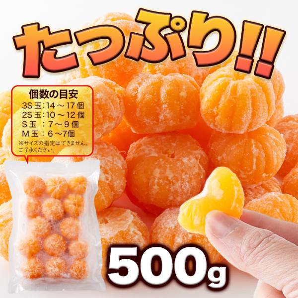 ��ނ��Ⓚ�݂���500g ���Q�����F�a�Y100�� ���i�摜3