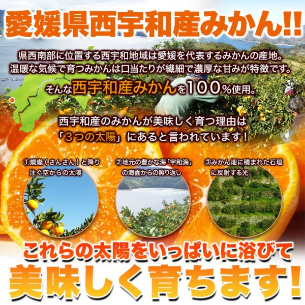 ��ނ��Ⓚ�݂���500g ���Q�����F�a�Y100�� ���i�摜4