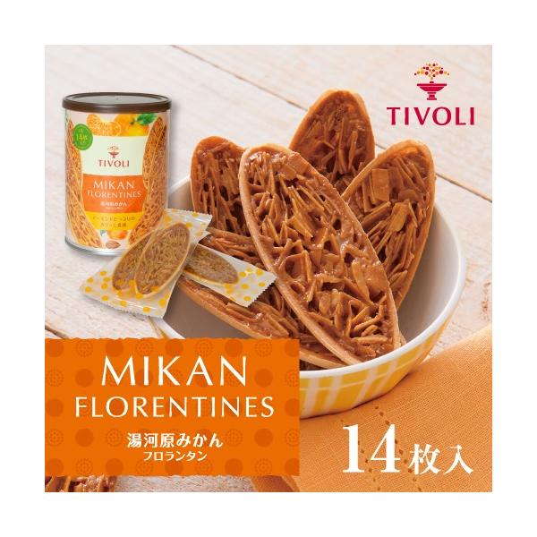 フェィラー湯たんぽ お菓子デザイン ちぼり 湯河原みかんフロランタン 14枚入｜TIVOLI 菓子 洋菓子