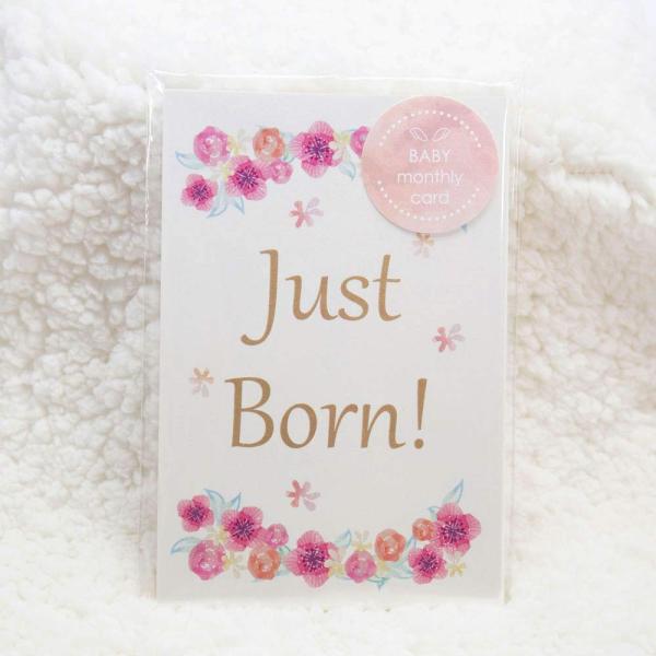 他サイト： メイドインたんたん ベビーマンスリーカード 18枚セット 5歳まで design2 flower 月齢フォト 月齢カード フラワー 成長記録の商品画像