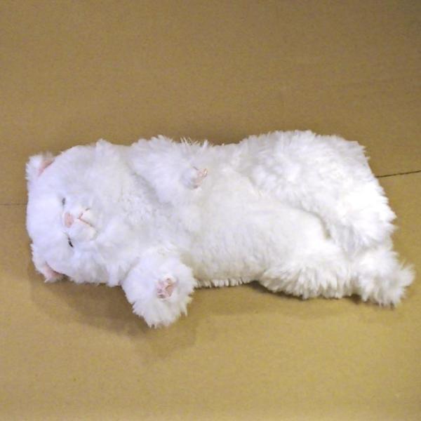 ひざねこすやすや ぬいぐるみ[M]．ペルシャ猫 2429-16