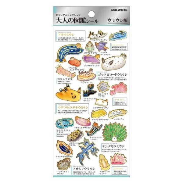 KAMIO JAPAN カミオシ゛ャハ゜ン シール ・ 大人の図鑑 ウミウシ