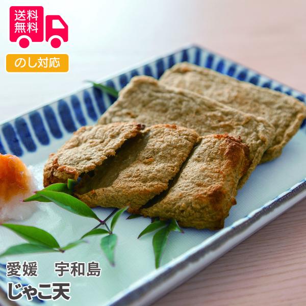 愛媛 宇和島 じゃこ天 プレゼント ギフト 内祝 御祝 贈答 送料無料 お歳暮 御歳暮 お中元 御中元