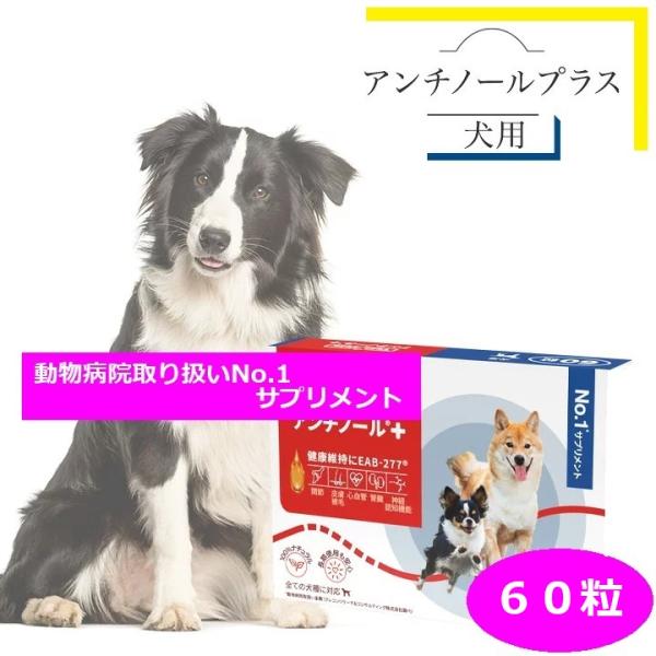 アンチノール プラス 犬用サプリメント 60粒