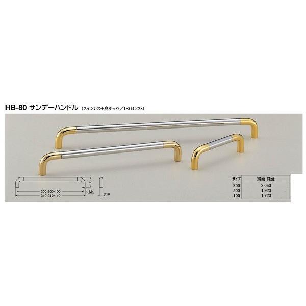 VN} HB-80 Tf[nh ʁE 200  rXsb` 200