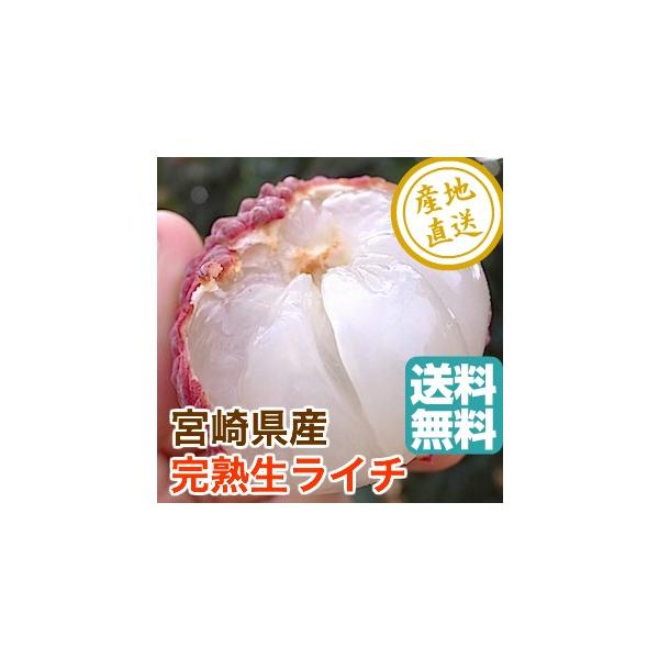  Mtg C` gsJt[c Fruits Yn C` kTCYȏ22`27ϔ {茧Y Yn  䒆