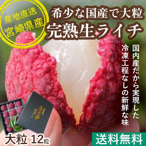 お中元 2024 ギフト ライチ トロピカルフルーツ 国産高級完熟