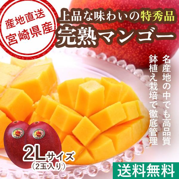 マンゴー 2Lの人気商品・通販・価格比較 - 価格.com