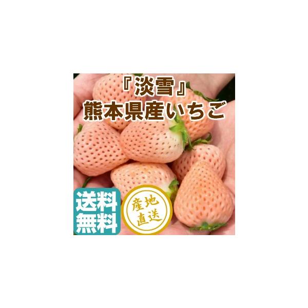 御年賀 お年賀 ギフト いちご フルーツ 淡雪 白いちご 完熟 2パック入箱 約500g 産地直送 送料無料 熊本県産 果物