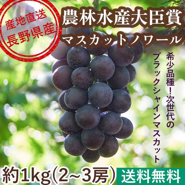 素晴らしい品質 岡山県シャインマスカット1kgL −3L秀品農林水産大臣賞