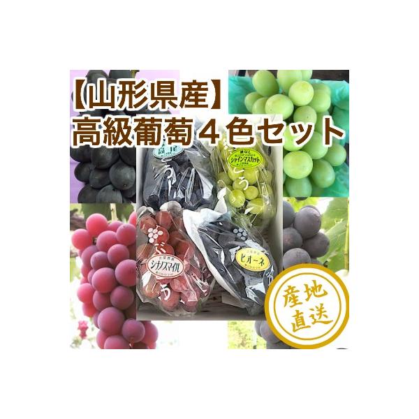 ぶどう フルーツ Fruits 秀品葡萄4種セット シャインマスカット と 安芸クイーン と 黒葡萄2種 2kg箱 4房入り 山形県産 産地直送 送料無料 フルーツギフト Buyee Buyee Japanese Proxy Service Buy From Japan Bot Online