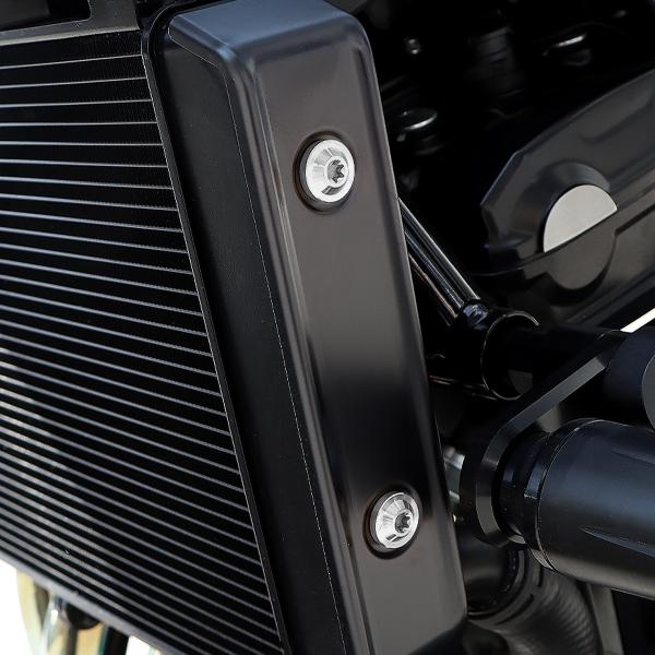 TECH-MASTER (テックマスター) Z900RS / CAFE 64チタン ラジエター サイドカバー用ボルト 4本セット シルバー BS0004