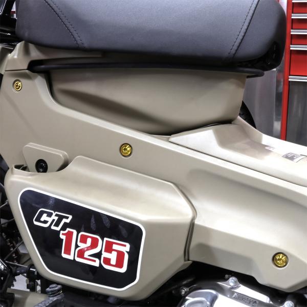 TECH-MASTER (テックマスター) CT125 ハンターカブ JA55 JA65 64チタン 外装カバー用ボルト 11本セット ゴールド BS0202