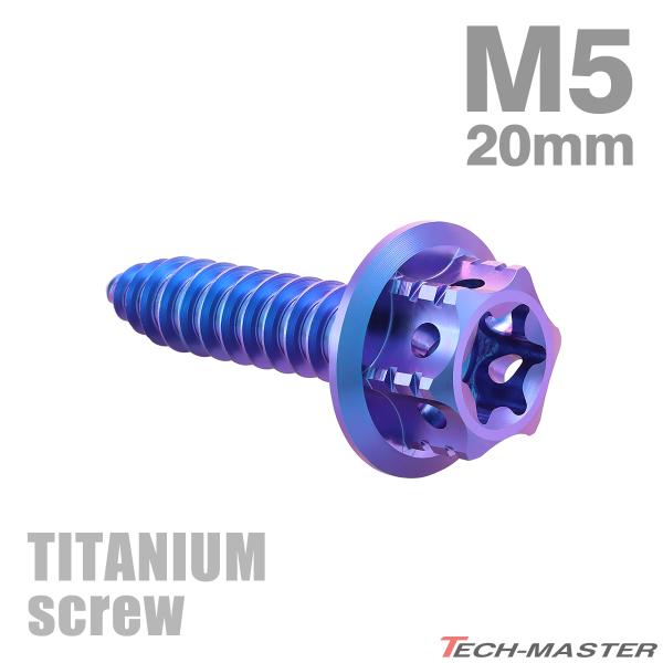 TECHーMASTER（テックマスター） チタンネジ M5×20mm タッピングビス