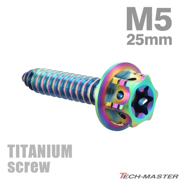 チタンネジ M5×25mm タッピングビス トルクス穴付き チタンカラー