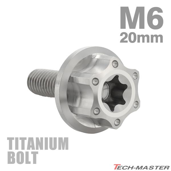 TECHーMASTER（テックマスター） チタンボルト M6×20mm P1.0 トルクス