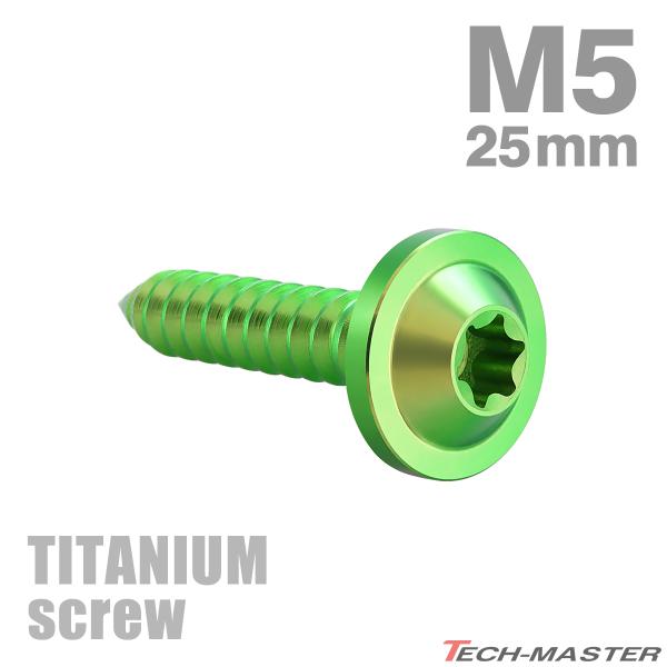 TECHーMASTER（テックマスター） チタンネジ M5×25mm タッピングビス