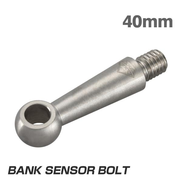 バンクセンサーボルト 汎用 40mm M8 ステンレス製 シルバーカラー S