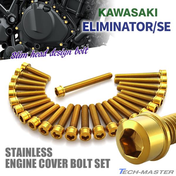 TECHーMASTER エリミネーター/SE エンジンカバー クランクケース