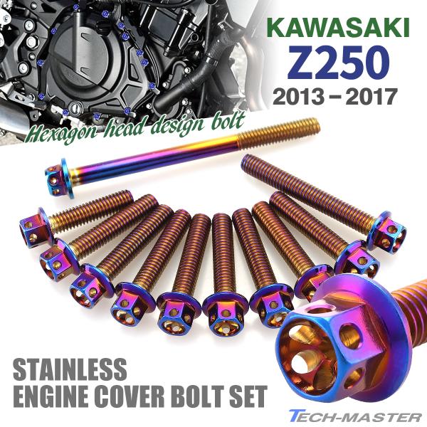 TECHーMASTER（テックマスター） Z250 ER250 2013年〜2017年 エンジン