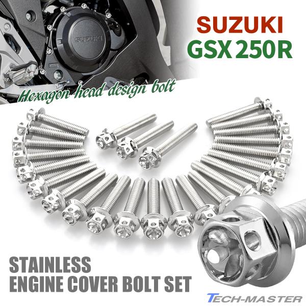 TECHーMASTER（テックマスター） GSX250R エンジンカバー クランク