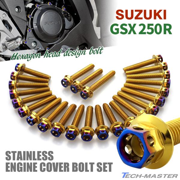 TECHーMASTER（テックマスター） GSX250R エンジンカバー クランク