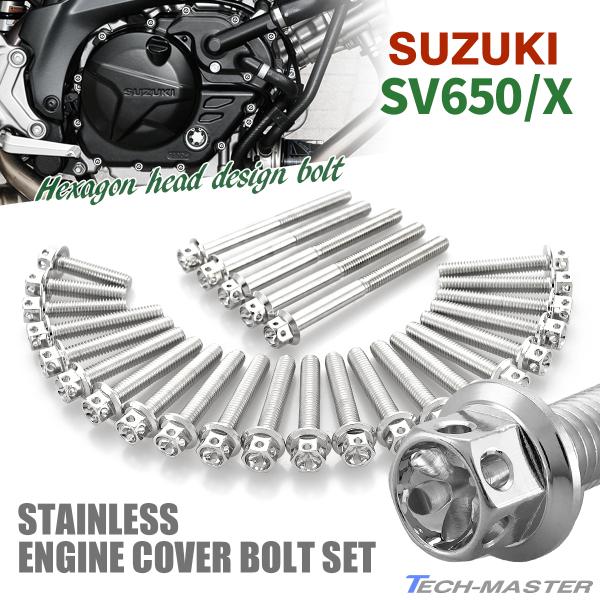 TECHーMASTER（テックマスター） SV650/X エンジンカバー クランク