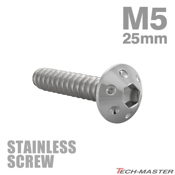ステンレスネジ M5×25mm タッピングビス 六角穴 ホールヘッド シルバーカラー 1個 TC0065