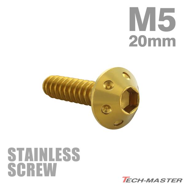 ステンレスネジ M5×20mm タッピングビス 六角穴 ホールヘッド ゴールドカラー 1個 TC0069