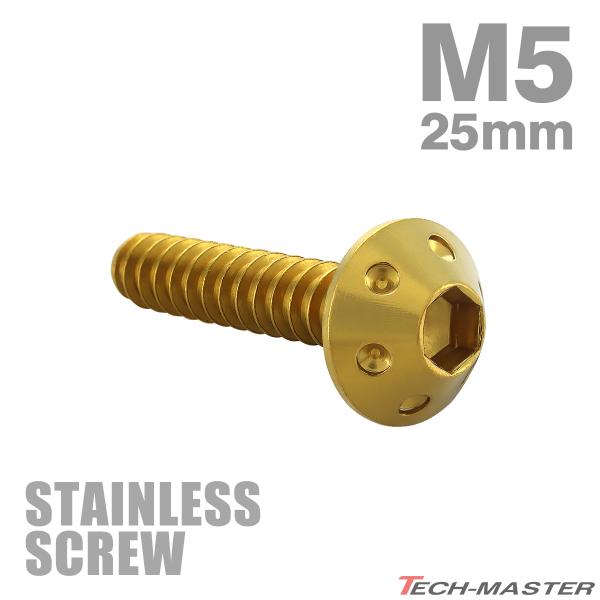 ステンレスネジ M5×25mm タッピングビス 六角穴 ホールヘッド ゴールドカラー 1個 TC0070