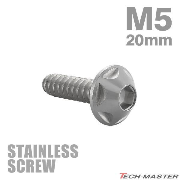 ステンレスネジ M5×20mm タッピングビス 六角穴 スターヘッド シルバーカラー 1個 TC0124
