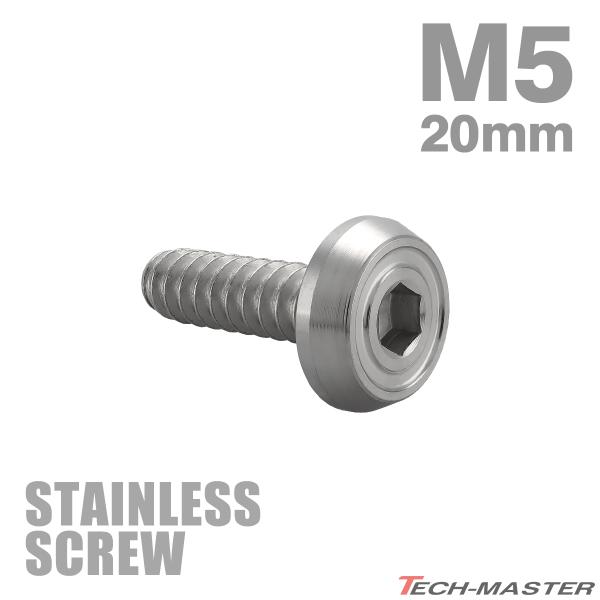 ステンレスネジ M5×20mm タッピングビス 六角穴 フラットヘッド シルバーカラー 1個 TC0169