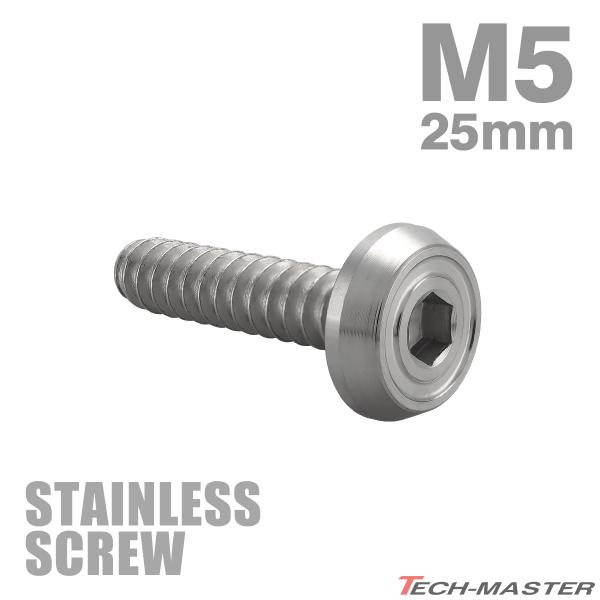 ステンレスネジ M5×25mm タッピングビス 六角穴 フラットヘッド シルバーカラー 1個 TC0170