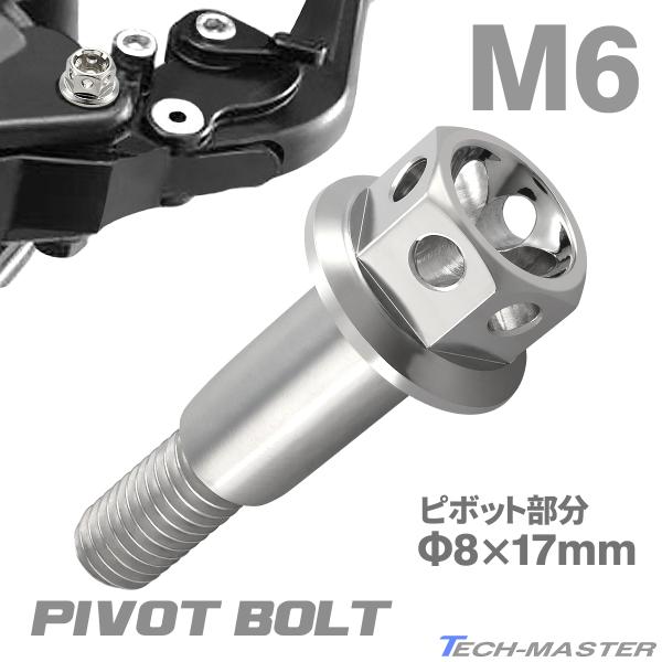 バイク ハンドル レバーボルト ピボットボルト Φ8×17mm M6×13mm ステンレス シルバーカラー TH0530