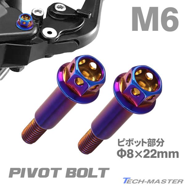バイク ハンドル レバーボルト ピボットボルト 2個セット Φ8×22mm M6×12mm ステンレス 焼きチタンカラー TH0543