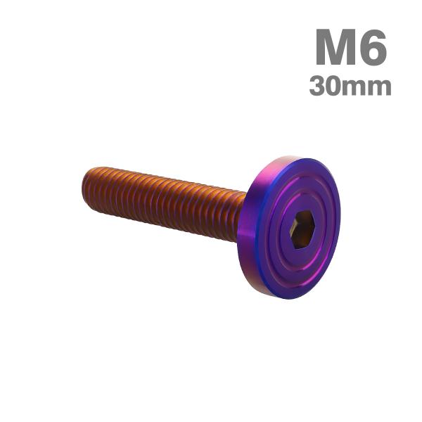 ステンレスボルト M6×30mm P1.0 マットタイプ シェルヘッド フラット 焼きチタンカラー TR0868