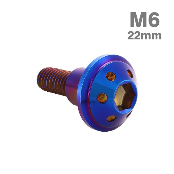 ステンレスボルト M6×22mm P1.0 円筒部直径9mm 段付きボルト 六角穴付き 焼きチタンカラー TR0876