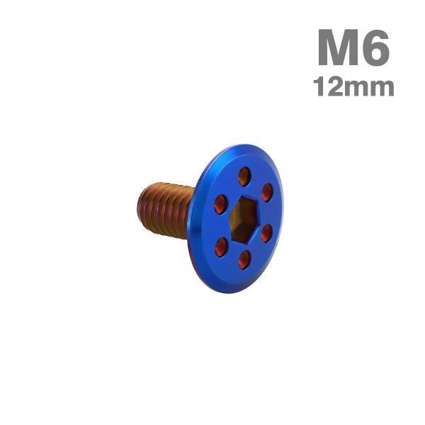 ステンレスボルト M6×12mm P1.0 ホールヘッド フラット 焼きチタンカラー TR0978