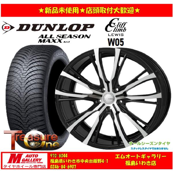 【数量限定送料無料】いわき 新品 サマータイヤホイールセット1台分 LEWIS W05 16x6.5J +48 5H100 オールシーズンマックス AS1 20