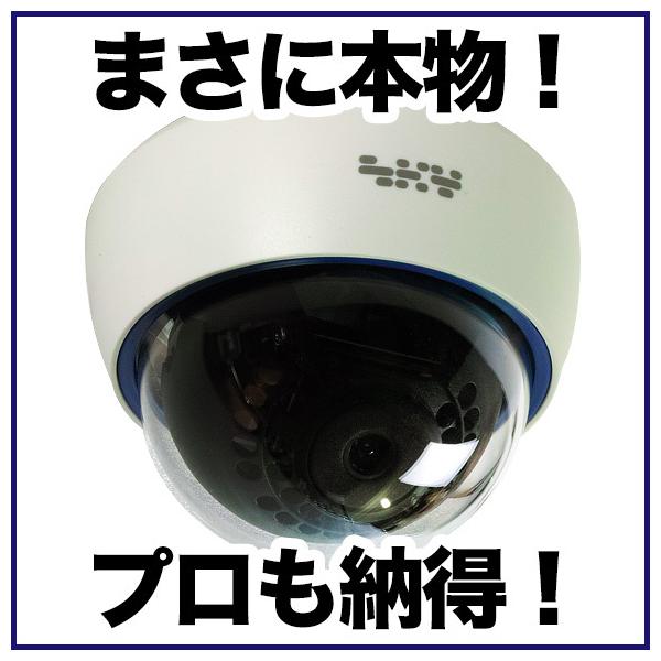 ダミー 防犯カメラ 屋内 ドーム 1台 : BUYER SELECT - 通販