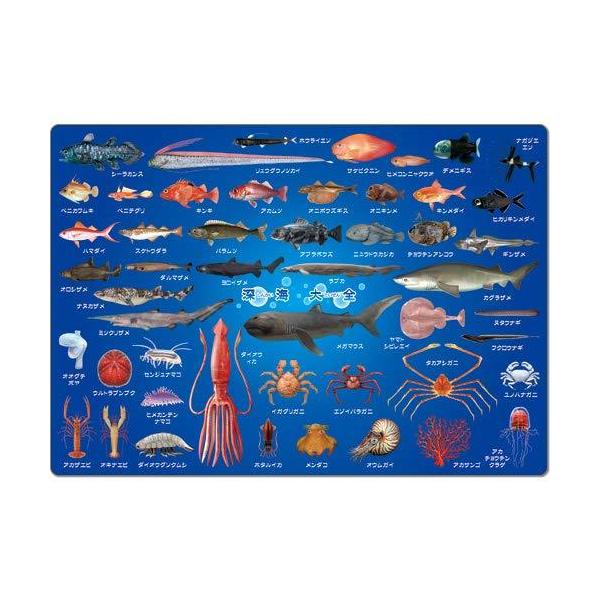 ザ アクセス 深海魚 図鑑 下敷き 深海大全 0549 タカハシ商店 ヤフーショップ 通販 Yahoo ショッピング
