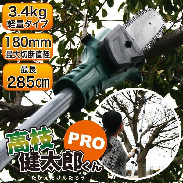 SIS/エスアイエス 充電式コードレスチェーンソー 高枝健太郎くんPRO 