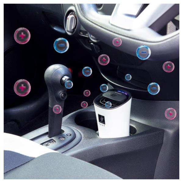 to-rulease_1-240001008543_2