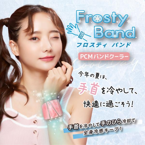 ビッグボーナス 手首冷却 手首クールリング フロスティバンド 28℃自然凍結 結露しない アイスバンド 冷感グッズ ひんやり pcm素材使用 瞬間氷冷
