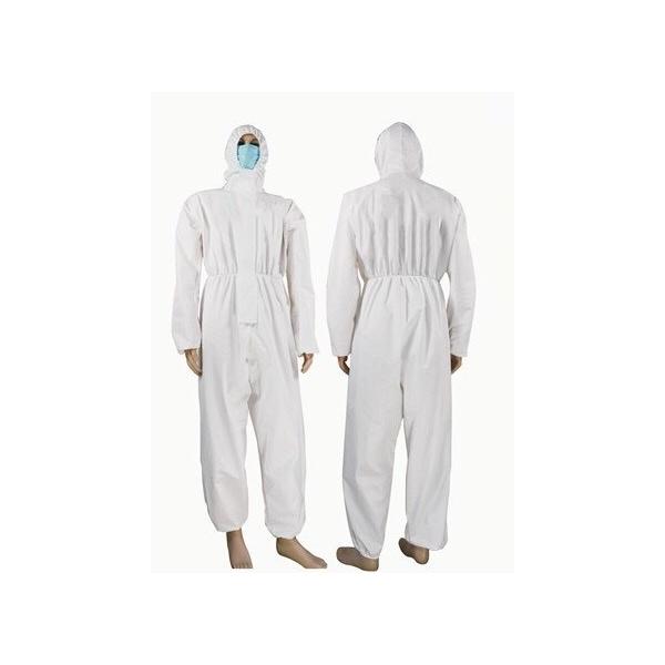 h앞 sDz ×p g؂^Cv Ri\h 10   ݌ɂ